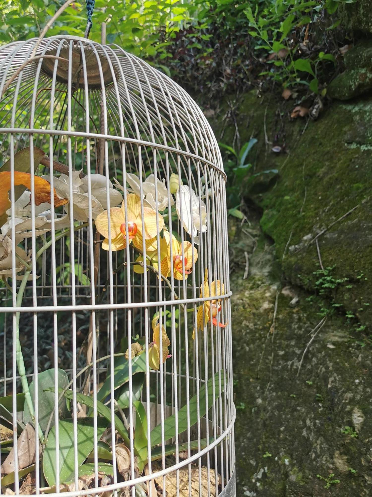 Soul Rebel Rio - Vegan Retreat Daire Rio de Janeiro Dış mekan fotoğraf
